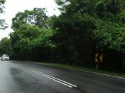 durian tunggal road side land 22 acres near utem, freehold