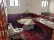 E 11/2 1 Kanal Triple Storey Full House 9 Bedroom E 11/2