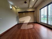 E 11/3 Out Class Location New Upper Portion For Rent