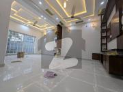 E 11/3 Out Classic Location Brand new Ground+Basement...