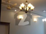 E 11/4 Size 25 60 FULL HOUSE 4 BEDS Attach Bath For Rent...