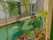 E 11 3 multi unfurnished 2bed tv apartment for rent for... E 11 3 multi unfurnished 2bed tv apartment for rent for...