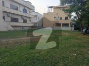 E 11 multi plot For Sale