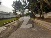 E 7 Old House For Sale