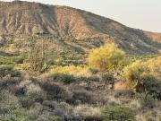 E Brahma Rd Unit,scottsdale, Plot For Sale
