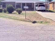 E Lester St, Tucson, Home For Sale