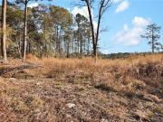 E River Dr, Beaufort, Plot For Sale