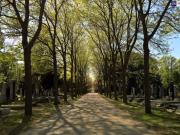 Early bird! Kleine Wohnung, große Wirkung! TOP...