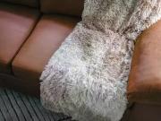 East Ocean View Avenue