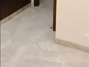 East Of Kailash Commercial Showroom 1800 Sq. Ft. in East...