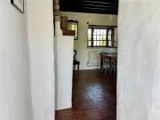 Easter Snow, Clogher, Boyle, Roscommon Gallagher... Easter Snow, Clogher, Boyle, Roscommon Gallagher...