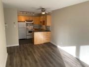 Eau Claire Manor 1 Bedroom Apartment for Rent at 225 6...