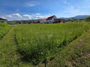 Ebenes & sonniges Baugrundstück in der Südsteiermark!