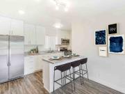 Echo 116 Apartment Homes 1 Bedroom Apartment for Rent at...