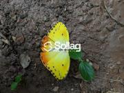 Eco refÃºgio, um verdadeiro retiro em meio a natureza...