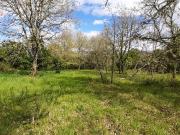 ECONÓMICA FINCA RÚSTICA EN VILAR DE ASTRÉS