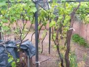 Economica Vendo casa por BertrÃ¡n a metros de Eco...