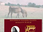 Ecurie proche Paris 200m² Paris