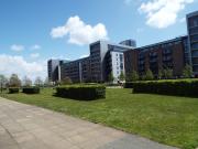 Eddystone House, Cardiff CF11, 2 bed flat to rent,...