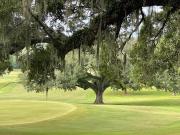Edenderry Dr Lot,tallahassee, Plot For Sale Edenderry Dr Lot,tallahassee, Plot For Sale