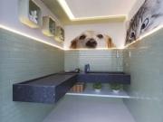 Edifãcio casa boa viagem 130m2 alto padrão casa orange /...