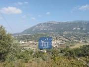EDIFICABILE in vendita a Giungano