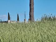 Edificabile in Via del Casale della Caccia