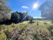 Edificabile in Via Domenico Spazian