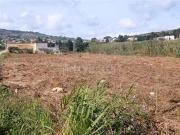 Edificabile Residenziali di 4623 mq a CROCCI Valderice