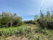 Edificabile Residenziali di 4900 mq a Calatafimi Alta,...