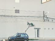 Edificio Comercial en Reforma Agraria