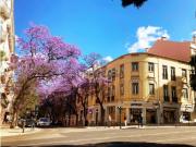 Edifício de charme, uso misto no Rato