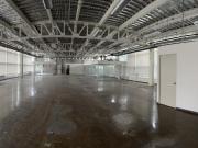 Edificio de Oficinas y Naves en Renta Mahatma Gandhi...