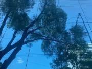 Edificio en renta en San Miguel Chapultepec I Sección,...