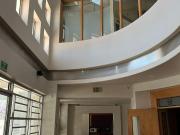 Edificio en Renta en Zona Rio