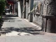 Edificio en venta en Juárez, Cuauhtémoc, Ciudad de México