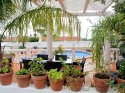 Edificio en venta en Calpe, Benicolada Edificio en venta en Calpe, Benicolada