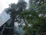 Edificio en venta en Insurgentes Edificio en venta en Insurgentes