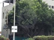 Edificio en venta en San Miguel Chapultepec