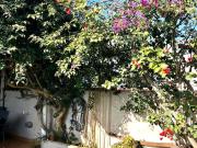 Edificio, La Punxa Bòbila Nova Mas Mascort, Palafrugell