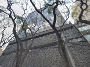 Edificio para Oficinas en Venta Polanco