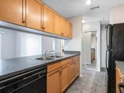 Edmonton Unfurnished Condo Rental in Exu Claires Bright...