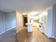 Edmonton Unfurnished Studio Rental in Garneau Central...