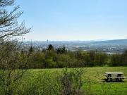 Provisionsfrei! EDMUND Wohnen in Strebersdorf! helle und...
