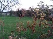 Egreville 77620 Programme neuf terrain neuf à vendre