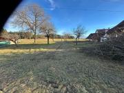 Miete 550: Freilauf Stall für 2 3 Pferde Selbstversorger...