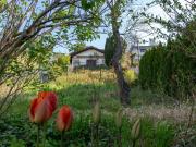 „Besitzen statt träumen: Ihr Gartenparadies am Hackenberg“