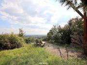 Eigengrund: Grünland mit Gartenhaus Großes Grundstück in...