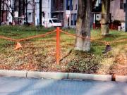 Eigentumswohnung 67qm2 Düsseldorf bilk Uni nähe