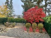 Eigentumswohnung in Osnabrück Haste Verkauf ohne Makler